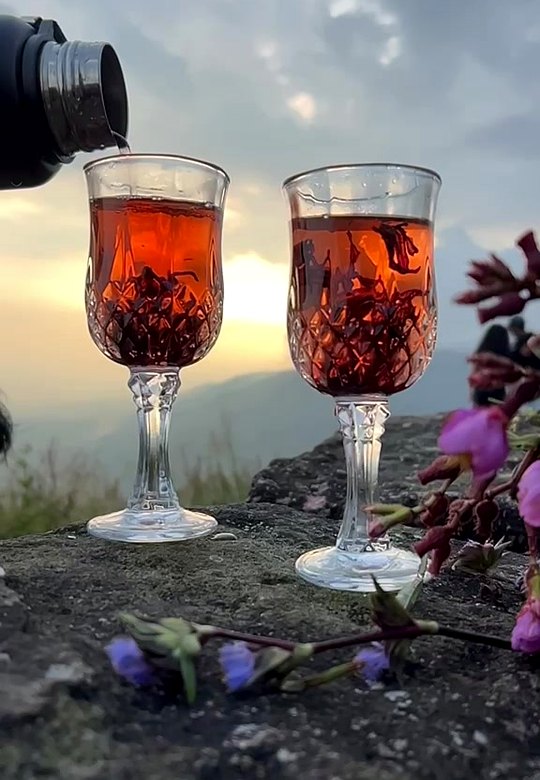Two glasses of glowing ruby-red roselle tea with calyces steeping inside, at sunset